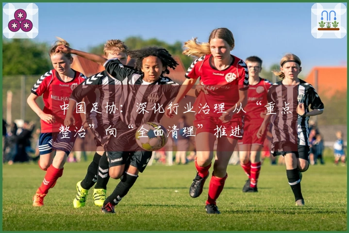 中国足协：深化行业治理 从“重点整治”向“全面清理”推进